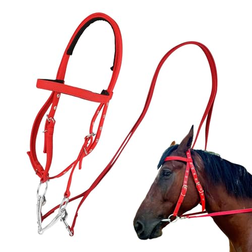 Gupcaqosjw Zähne für, Kopfstall - Browband Kopfstall für - Einstellbare Reitreine für Erwachsene, Schnittnase -Backbänder von Gupcaqosjw