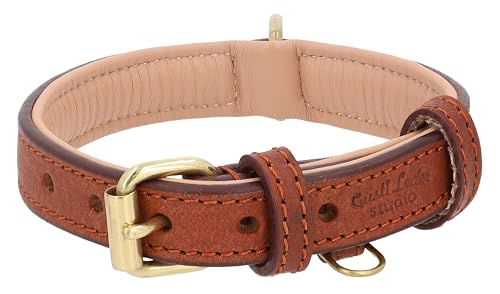 Gusti Hundehalsband Leder - Jacky Lederhalsband Hund Haustier Vierbeiner Größe L braun Leder von Gusti