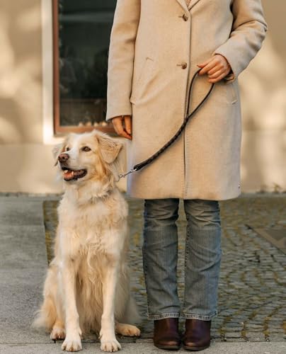 Gusti Leder Lederleine Hartwin - Kurze Hundeleine Kurzführer Hund Verkehrsleine Trainingsleine Braun Leder von Gusti