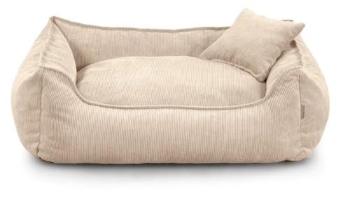 Gutekissen® Hundebett Lucky – Flauschiges Hundekissen für kleine & große Hunde – Waschbares Haustierbett mit Füllung aus Polyurethanschaum & abnehmbarem Bezug (Creme, XS - 55x40) von Gutekissen