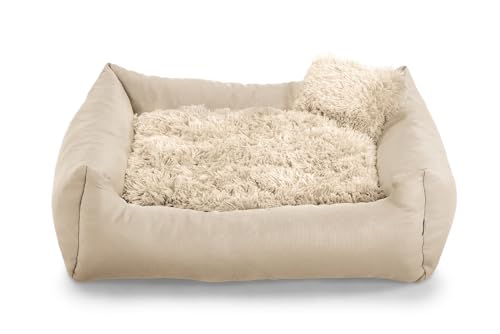 Gutekissen® Hundebett aus weichem Material, gefüllt mit Polyurethanschaum, Plüschkissen, schmutzabweisend, kleines Kissen inklusive. FN (3XL - 130x110, Creme) von Gutekissen