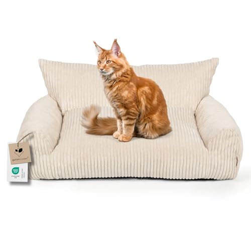 Gutekissen® Katzenbett – Gemütliches Katzenkissen mit hohen Seitenwänden – Waschbares Haustierbett aus Oeko-Tex Stoff für sicheren Komfort (78×54 cm) (Creme Lincoln) von Gutekissen