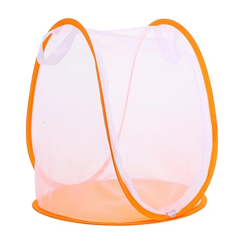 Butterfly Cage, Small Butterfly Habitat Cage, Iron Wire, Meshmesh Enclosure with Zipper, Foldable Design, Durable Construction, Easy to Store, Ideal for Growing and Catching Animals,33x37cm Butterfly Cage, Small Butterfly Habitat Cage, Iron Wire, Meshmesh Enclosure with Zipper, Foldable Design, Durable Construction, Easy to Store, Ideal for Growing and Catching Animals,33x37cm von Gvblkq