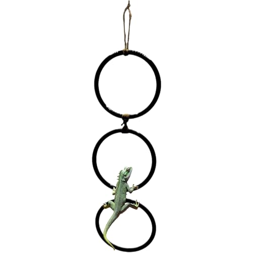 Corn Snake, Tank, Accessories, Climbing Rings, PP Adjustable and Customizable Height, Swing Hoop Chain Toy, Anti-Rust and Anti-fray, Indoor Amphibian Habitat Use, 11.4x42cm Corn Snake, Tank, Accessories, Climbing Rings, PP Adjustable and Customizable Height, Swing Hoop Chain Toy, Anti-Rust and Anti-fray, Indoor Amphibian Habitat Use, 11.4x42cm von Gvblkq