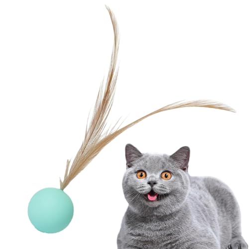 Gvblkq Katzenball Spielzeug Katze Kauball Interaktives Katzenspielzeug Feder Katzenspielzeug Hüpfender Katzenball Elastisches Gummispielzeug Bissfestes Katzenspielzeug Mittelgroßes Katzenspielzeug Gvblkq Katzenball Spielzeug Katze Kauball Interaktives Katzenspielzeug Feder Katzenspielzeug Hüpfender Katzenball Elastisches Gummispielzeug Bissfestes Katzenspielzeug Mittelgroßes Katzenspielzeug von Gvblkq
