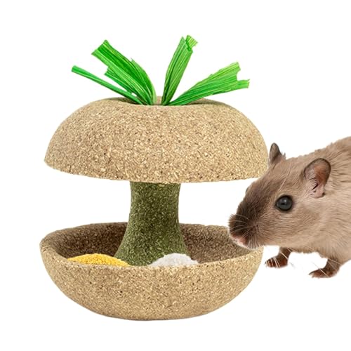 Hamster-Kauspielzeug, Obstförmige Kleintier-Leckerli-Spielzeug, natürliches Hasenspielzeug für Zähne, Chinchillas Kauspielzeug, Hamster-Leckerli-Spielzeug, Rennmäuse, Kauspielzeug, Hamster-Kauspielzeug, Obstförmige Kleintier-Leckerli-Spielzeug, natürliches Hasenspielzeug für Zähne, Chinchillas Kauspielzeug, Hamster-Leckerli-Spielzeug, Rennmäuse, Kauspielzeug, von Gvblkq