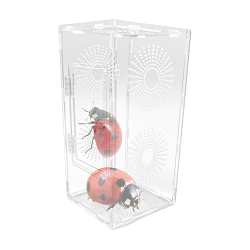 Jumping Spider Habitat, Small Transparent Reptile Terrarium Box for Mantis Frog, Secure Ventilated Enclosure with Feeding Port for Kids, Adults, Teens, Family Educational Display Jumping Spider Habitat, Small Transparent Reptile Terrarium Box for Mantis Frog, Secure Ventilated Enclosure with Feeding Port for Kids, Adults, Teens, Family Educational Display von Gvblkq