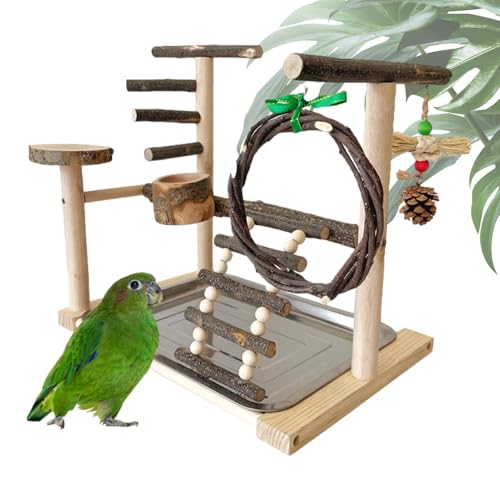 Vogelspielplatz, Beißender Papageienständer, Vogelspielzeug Spielplatz, Windmühle, tragbares Käfigzubehör, ideal für Nymphensittiche, Wellensittiche, Sittiche, 40 x 27 x 4 cm Vogelspielplatz, Beißender Papageienständer, Vogelspielzeug Spielplatz, Windmühle, tragbares Käfigzubehör, ideal für Nymphensittiche, Wellensittiche, Sittiche, 40 x 27 x 4 cm von Gvblkq