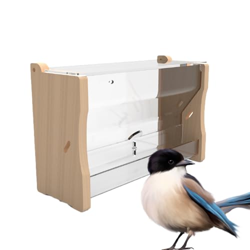 Wachtelfutterstation, automatischer Vogelwasser-Futterbecher, Sittich-Futterbox, Haustierkäfigfutter, Spender, perfekt für Wachteln, Wellensittiche, Nymphensittiche, Kanarienvögel, leicht Wachtelfutterstation, automatischer Vogelwasser-Futterbecher, Sittich-Futterbox, Haustierkäfigfutter, Spender, perfekt für Wachteln, Wellensittiche, Nymphensittiche, Kanarienvögel, leicht von Gvblkq