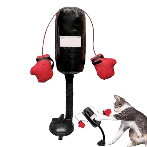 Gwtdtoad Boxsack Katzenspielzeug Interaktives Spielzeug Für Katzen, Multifunktions Katzen Boxsack Spielzeug Box Sack Spiel Für Haus, Wohnung, Arbeit von Gwtdtoad