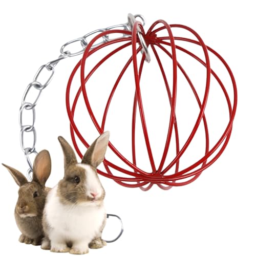 Pet Gras Ball Metall Nager Futterball, Feeder Spielzeug Mit Hängenden Haken, Heuball Zum Aufhängen, Futterraufe Für Chinchillas, Hamster Und Kleintiere, Verhindert Futterverlust 6×6cm Pet Gras Ball Metall Nager Futterball, Feeder Spielzeug Mit Hängenden Haken, Heuball Zum Aufhängen, Futterraufe Für Chinchillas, Hamster Und Kleintiere, Verhindert Futterverlust 6×6cm von Gwtdtoad