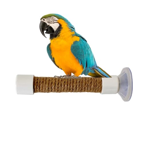 Sitzstangen Für Vögel Mit Saugnapf Vogelständer Vogelzubehör Naturholzstangen Vogelkäfig Zubehör Für Kakadus, Aras, Sittiche, Fensterspiegel, Autobadewanne von Gwtdtoad