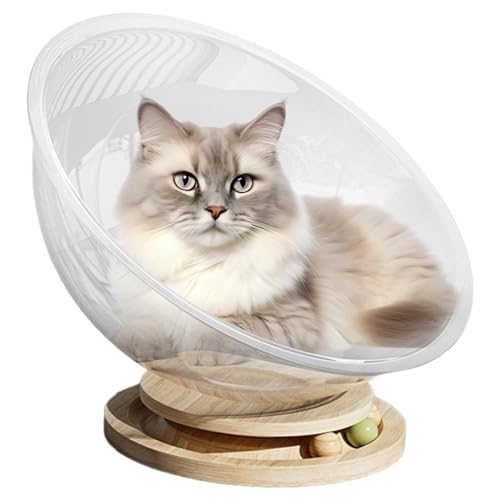 -Katzenmöbel | Leicht Zu Reinigendes -Katzennest | Transparentes Freistehendes Katzenhaus | Niedliches Haustierbett | Stabiles Aktivitätszentrum Für Katzen, 32 * 32 * 13cm -Katzenmöbel | Leicht Zu Reinigendes -Katzennest | Transparentes Freistehendes Katzenhaus | Niedliches Haustierbett | Stabiles Aktivitätszentrum Für Katzen, 32 * 32 * 13cm von Gwtdtoad