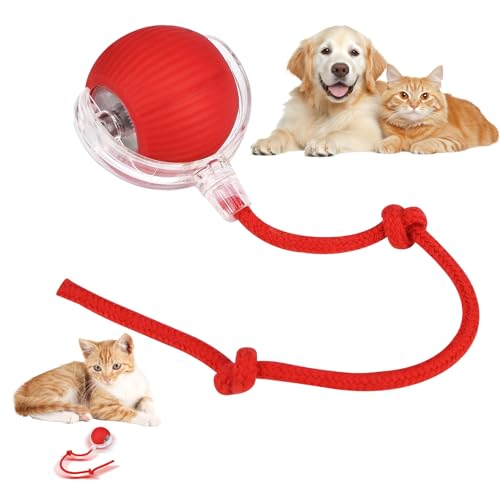 Interaktives Katzenspielzeug,Interaktiver Spielball mit Schwanz für Katzen,Interaktiver Spielball für Katzen,interaktives Katzen- und Hundespielzeug,360° Rolling Smart Ball für Katzen Und Hund (A) von GxDxmBd