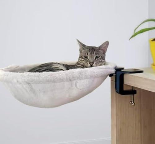 Gxdamxz Cat Desk Bed Gxdamxz Cat Desk Bed von Gxdamxz