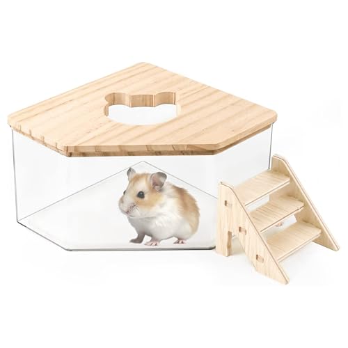 Gxdamxz Hamster Sandbad, Badesand Container Acryl, Transparentes Hamster Sandbad mit Holzdeckel für Rennmäuse Gerbil Kleintiere, 13x13x8 Gxdamxz Hamster Sandbad, Badesand Container Acryl, Transparentes Hamster Sandbad mit Holzdeckel für Rennmäuse Gerbil Kleintiere, 13x13x8 von Gxdamxz