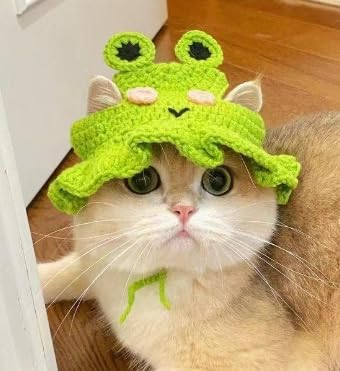Hat for Cat Cute Hat for Cat Cute von Gxdamxz
