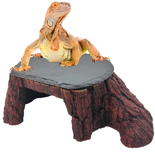 GXSDJ Bartdrache Sonnenplattform, Leopard Gecko Feuchtes Versteck, Reptilienversteckhöhle mit Wärmespeicher, Schieferstein, Schopfgecko, Sonnenfelsen, Versteck für Schildkrötenball, Pythons, Eidechse, GXSDJ Bartdrache Sonnenplattform, Leopard Gecko Feuchtes Versteck, Reptilienversteckhöhle mit Wärmespeicher, Schieferstein, Schopfgecko, Sonnenfelsen, Versteck für Schildkrötenball, Pythons, Eidechse, von Gxsdj