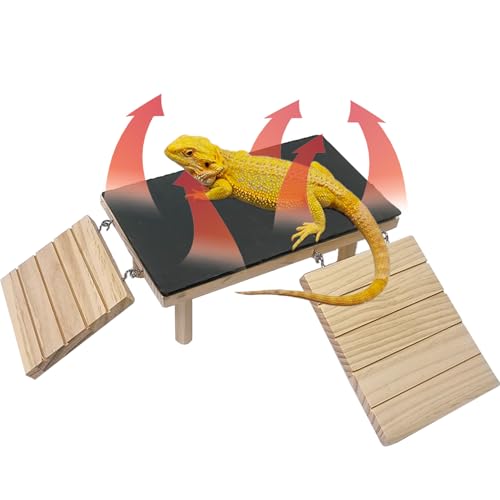 GXSDJ Holzbartagrache Sonnenplattform mit Wärmespeicher, Schieferstein, Reptilien-Selenplattform mit Kletterrampe, Bartagrachenversteck für Geckos, Schlangen, Leopard, Eidechsen, Schildkröten (groß) von Gxsdj