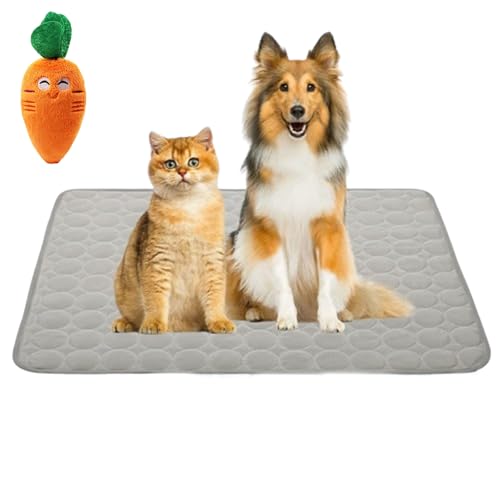 Pfotenfrost Matte für Hunde & Katzen – Selbstkühlende Matte, Atmungsaktiv & Waschbar, rutschfest, Für Innen & Außen, S-XL, Inkl. Spielzeug (Grau, M) von Gyagalre