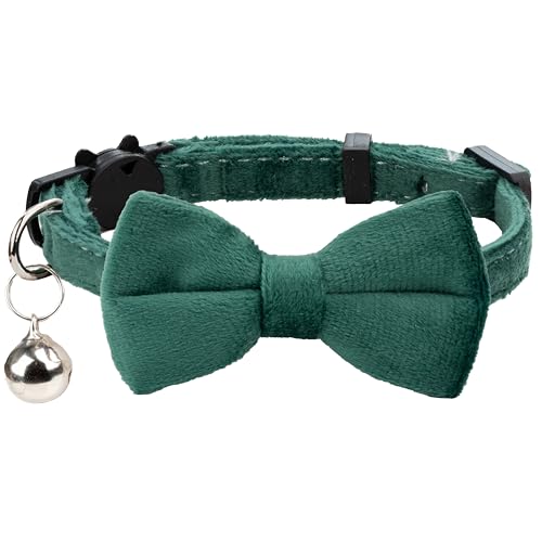 Gyapet Katzenhalsband, weicher Samt mit Fliege, Glöckchen, Sicherheitsverschluss, für Jungen, Mädchen, Kätzchen, einfache Farben, für Männer und Frauen, 1 Stück, Dunkelgrün von Gyapet