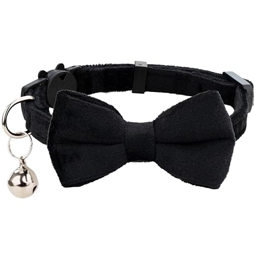 Gyapet Katzenhalsband, weicher Samt mit Fliege, Glöckchen, Sicherheitsverschluss, für Jungen, Mädchen, Kätzchen, einfache Farben, für Männer und Frauen, 1 Stück, Schwarz von Gyapet