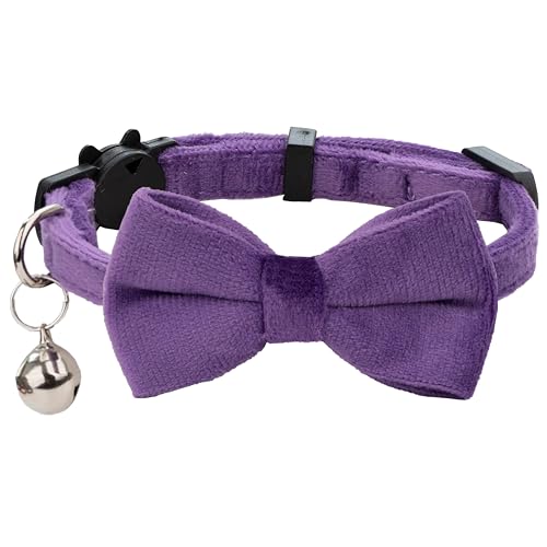 Gyapet Katzenhalsband, weicher Samt mit Fliege, Glöckchen, Sicherheitsverschluss, für Jungen, Mädchen, Kätzchen, einfache Farben, für Männer und Frauen, 1 Stück, Violett von Gyapet