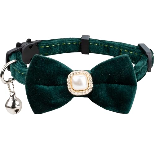 Gyapet Katzenhalsband mit Fliege, Kunstperlen, Samt, einfarbig, Glocke, Sicherheit, Kätzchen, Haustier, Hochzeit, Party, Halloween, Weihnachten, festlich, 1 Stück, Grün Gyapet Katzenhalsband mit Fliege, Kunstperlen, Samt, einfarbig, Glocke, Sicherheit, Kätzchen, Haustier, Hochzeit, Party, Halloween, Weihnachten, festlich, 1 Stück, Grün von Gyapet