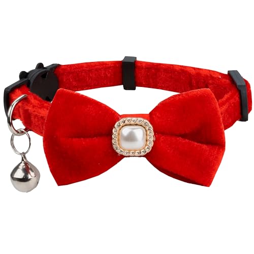Gyapet Katzenhalsband mit Fliege, Kunstperlen, Samt, einfarbig, Glocke, Sicherheit, Kätzchen, Haustier, Hochzeit, Party, Halloween, Weihnachten, festlich, 1 Stück, Rot Gyapet Katzenhalsband mit Fliege, Kunstperlen, Samt, einfarbig, Glocke, Sicherheit, Kätzchen, Haustier, Hochzeit, Party, Halloween, Weihnachten, festlich, 1 Stück, Rot von Gyapet