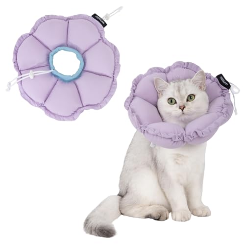 H HIDREAM Weiches Katzenhalsband, niedliches, verstellbares Katzenhalsband, elisabethanisches E-Halsband, das Kopf- und Fußwunden schützen kann, lila Blume, Ganzjahres-Stil H HIDREAM Weiches Katzenhalsband, niedliches, verstellbares Katzenhalsband, elisabethanisches E-Halsband, das Kopf- und Fußwunden schützen kann, lila Blume, Ganzjahres-Stil von H HIDREAM