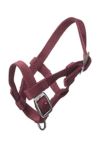 H&B HB Nylon Mini Fohlen Halfter - Size Mini H&B HB Nylon Mini Fohlen Halfter - Size Mini von H&B