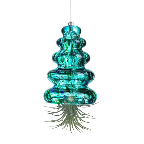 H&D HYALINE & DORA Luftpflanzenhalter aus mundgeblasenem Glas, Baumform, Dekoration, hängender Übertopf für Zuhause, Garten (ohne Pflanzen) von H&D HYALINE & DORA