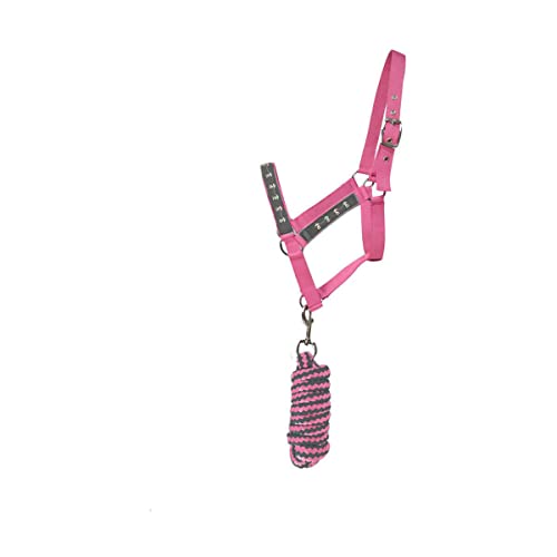 Hy Merry Go Round Pferdehalfter und Führstrick (kleines Pony) (Grau/Pink), Grau/Pink, Small Pony von HY
