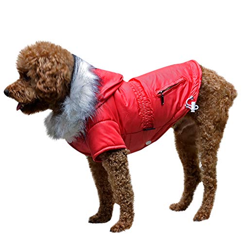 H.eternal Hundemantel für den Winter, mit Kapuze, gepolsterte Weste, warmes Outfit für Welpen und Katzen von H.eternal