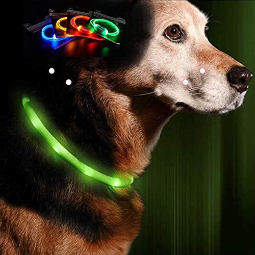 4er Set Hundehalsband LED 80cm Zuschneidbar Leuchthalsband Hunde Halsband Leuchtschlauch von HAC24
