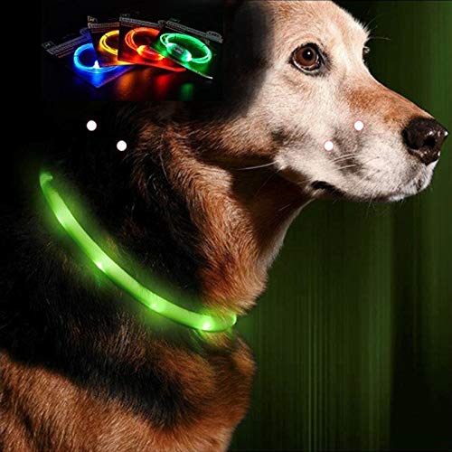 4er Set Hundehalsband LED 80cm Zuschneidbar Leuchthalsband Hunde Halsband Leuchtschlauch 4er Set Hundehalsband LED 80cm Zuschneidbar Leuchthalsband Hunde Halsband Leuchtschlauch von HAC24