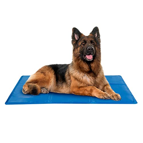 Kühlmatte für Hunde Haustier XL Kühldecke Hundekühlmatte Gelmatte Kühlend 80 x 60 cm Kühlkissen Gelkissen Kühlunterlage Blau Kühlmatte für Hunde Haustier XL Kühldecke Hundekühlmatte Gelmatte Kühlend 80 x 60 cm Kühlkissen Gelkissen Kühlunterlage Blau von HAC24