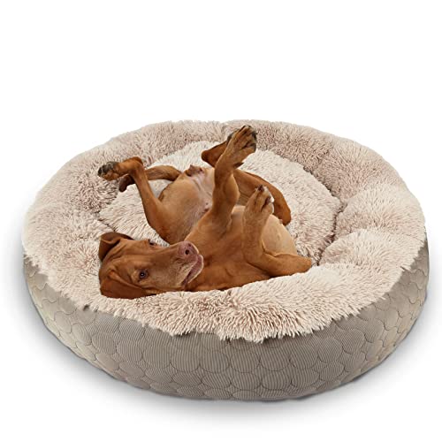 HACHIKITTY Hunde-Donut-Bett, beruhigendes Donut-Bett, rund, flauschiges Hundebett, mittelgroße und große Hunde, kühlend, wärmend, Donut-Bett mit warmen und kühlen Seiten (groß, taupe) von HACHIKITTY