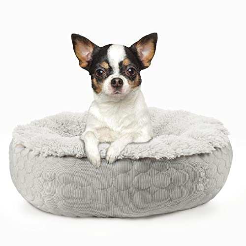 HACHIKITTY Hundebett, beruhigendes Donut-Bett, rund, flauschiges Hundebett, mittelgroße und große Hunde, kühlend, wärmend, weiches Hundekissen, Donut-Bett mit warmen und kühlen Seiten (Medium, Grau) von HACHIKITTY