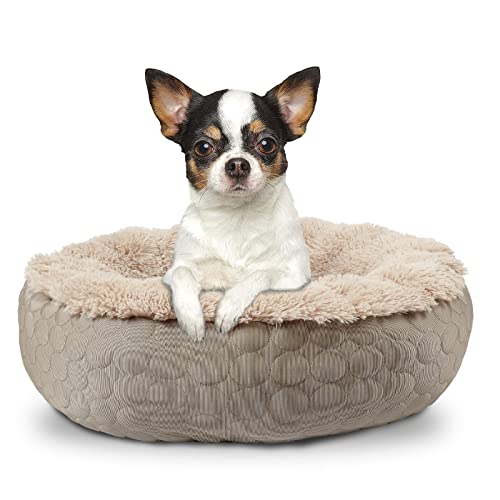 HACHIKITTY Hundebett, beruhigendes Donut-Bett, rund, flauschiges Hundebett, mittelgroße und große Hunde, kühlend, wärmend, weiches Hundekissen, Donut-Bett mit warmen und kühlen Seiten (Medium, Taupe) von HACHIKITTY