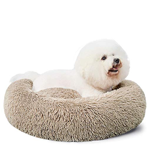 HACHIKITTY Hundebett, beruhigendes Donut-Kuschelbett, mittelgroße Hundebetten, flauschig, beruhigend, groß, 61 cm von HACHIKITTY