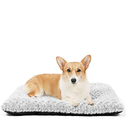 HACHIKITTY Hundebettmatten, groß, maschinenwaschbar, dünn, tragbar, 76,2 cm von HACHIKITTY