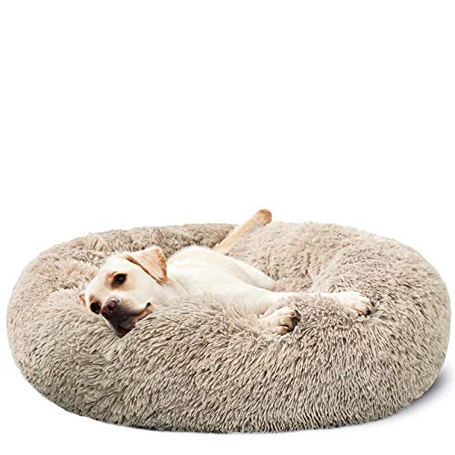 Hachikitty Calming Donut Cuddler Hundebett, Größe L, 76,2 cm Hachikitty Calming Donut Cuddler Hundebett, Größe L, 76,2 cm von HACHIKITTY