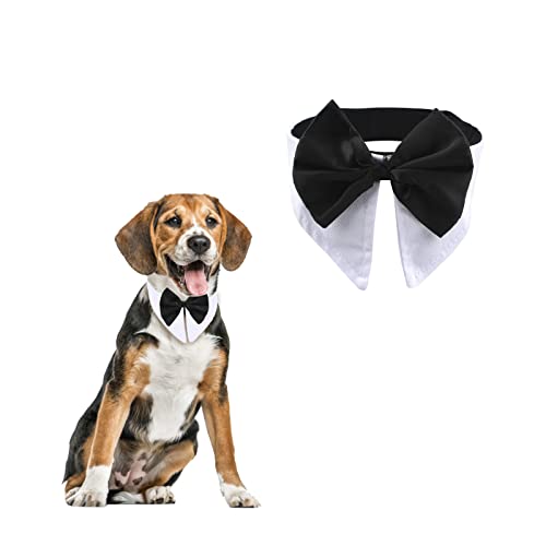 HACRAHO Formelles Haustier-Fliegenhalsband, 1 Stück, weiße Smoking-Fliege und Halsband verstellbare Welpen-Krawattenschleifen für Hochzeit Geburtstag Party für Katzen Hunde Halsumfang 21,97-25" HACRAHO Formelles Haustier-Fliegenhalsband, 1 Stück, weiße Smoking-Fliege und Halsband verstellbare Welpen-Krawattenschleifen für Hochzeit Geburtstag Party für Katzen Hunde Halsumfang 21,97-25" von HACRAHO