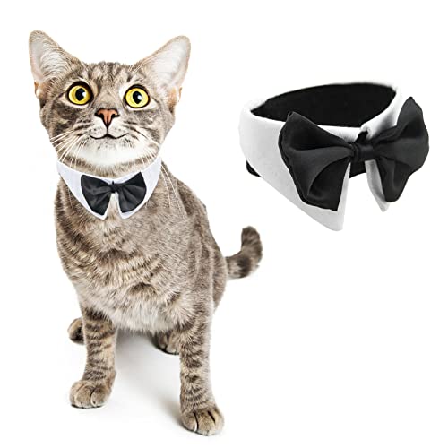 HACRAHO Formelle Hundefliege, 1 Stück, weiß, verstellbar, formell, Haustierkostüm, Halsband mit Fliege für Hochzeit, Geburtstag, für kleine Hunde und Katzen, Größe M von HACRAHO