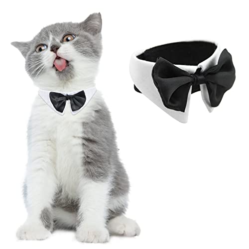 HACRAHO Formale Hunde-Fliege, 1 Stück, weiß, verstellbar, formelles Haustier-Fliegenhalsband, Haustierkostüm-Halsband mit Fliege, für Hochzeit, Geburtstage, für kleine Hunde und Katzen, Größe S von HACRAHO