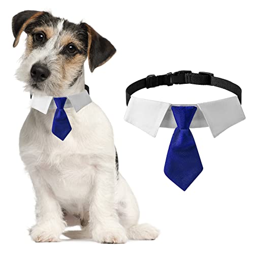 HACRAHO Hund Hals Krawatte Halsband, 1 Stück Hund Smoking Krawatte Halsband Einstellbar Hund Hochzeit Halsband mit Krawatte für Kleine Mittlere Hunde, M von HACRAHO