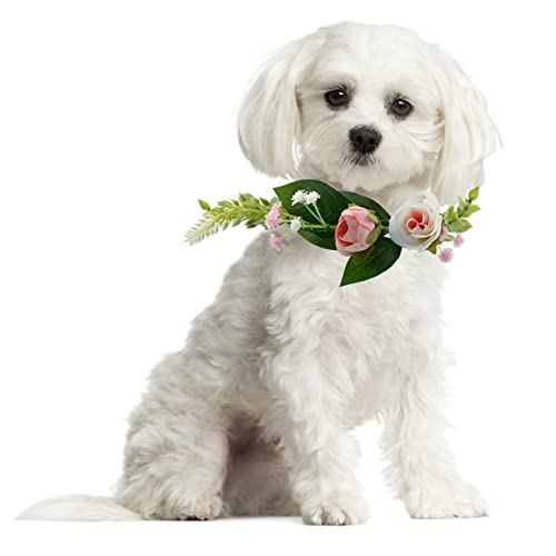 HACRAHO Hundehalsband, 1 Stück, florales Hundehalsband, Hochzeitskranz, mit weißem Seidenband, Hochzeit, Blumenkrone, Girlande, Stirnband für Hochzeit, Haustierdekoration von HACRAHO