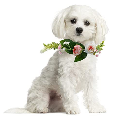 HACRAHO Hochzeitshalsband für Hunde, 1 Stück, Blumenkranz, Halsband mit weißem Seidenband, Hochzeitskrone, Girlande, Stirnband für Hochzeit, Haustierdekoration von HACRAHO