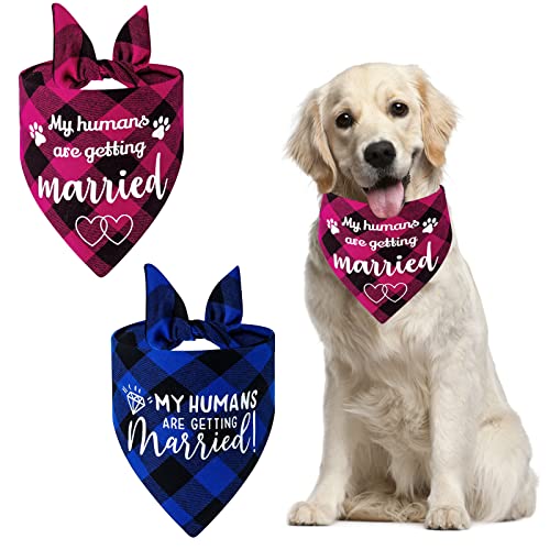 HACRAHO Hochzeit Hund Bandana, 2 Stück My Humans Are Getting Married Dog Plaid Bandanas Hunde-Verlobungsankündigung, Bandana für kleine Hunde und mittelgroße Hunde, Katzen, Blau und Rosa von HACRAHO